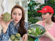 Nhà đẹp - Bảo Thy lên tiếng thanh minh khi bị chê không biết phân biệt quả chín trong đoạn clip hái na vườn nhà