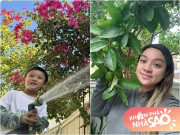Nhà đẹp - Ngôi nhà của Phi Nhung ở Mỹ nở đầy hoa, cháu ngoại tưới cây bà quá cố trồng nhìn mà thương