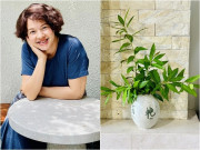 Nhà đẹp - Loại lá quen thuộc hay dùng đun nước uống, ai ngờ MC Diễm Quỳnh cắm lên bình xanh mướt trông rất "thơ"