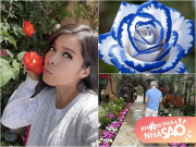 Nhà đẹp - Biệt thự 1.600 tỷ đồng của ca sĩ Bích Tuyền và chồng tỷ phú có "khu vườn thượng uyển trên cả tuyệt vời"