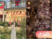 Nhà đẹp - Cây thông "ngửi thấy mùi tiền" của sao Việt 2024: Cháu trai gia tộc giàu có bậc nhất Việt Nam trưng cây rất lạ