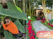 Nhà đẹp - Khu vườn đáng mơ ước trong khuôn viên biệt thự của Đàm Vĩnh Hưng ở Mỹ, dịp lễ nào cũng "lên đồ" hoành tráng