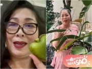 Nhà đẹp - NSND Hồng Vân khoe ổi trái tim ông xã trồng ở "biệt phủ", vườn cây sai trĩu quả và nhiều điều thú vị