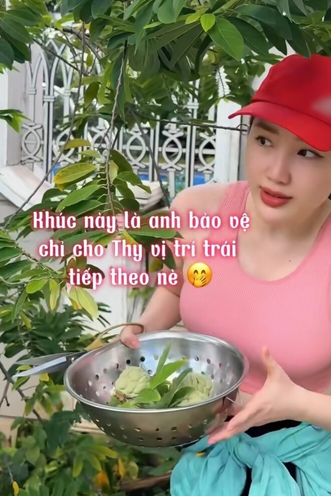 “Trong lúc vợ chồng Thy đang thu hoạch thì có 2 anh bảo vệ khu phố ghé qua và cổ động nữa. Các anh ấy biết vợ chồng Thy cưng khu vườn nhỏ này nên cũng trông chừng giúp Thy nhiệt tình lắm”, nữ ca sĩ cho biết.