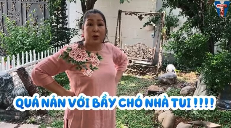 Hồng Vân còn cho biết nhà mình có đàn chó tinh nghịch, trong đó có 3 chú chó Tây đắt tiền và 1 con chó Phú Quốc. 