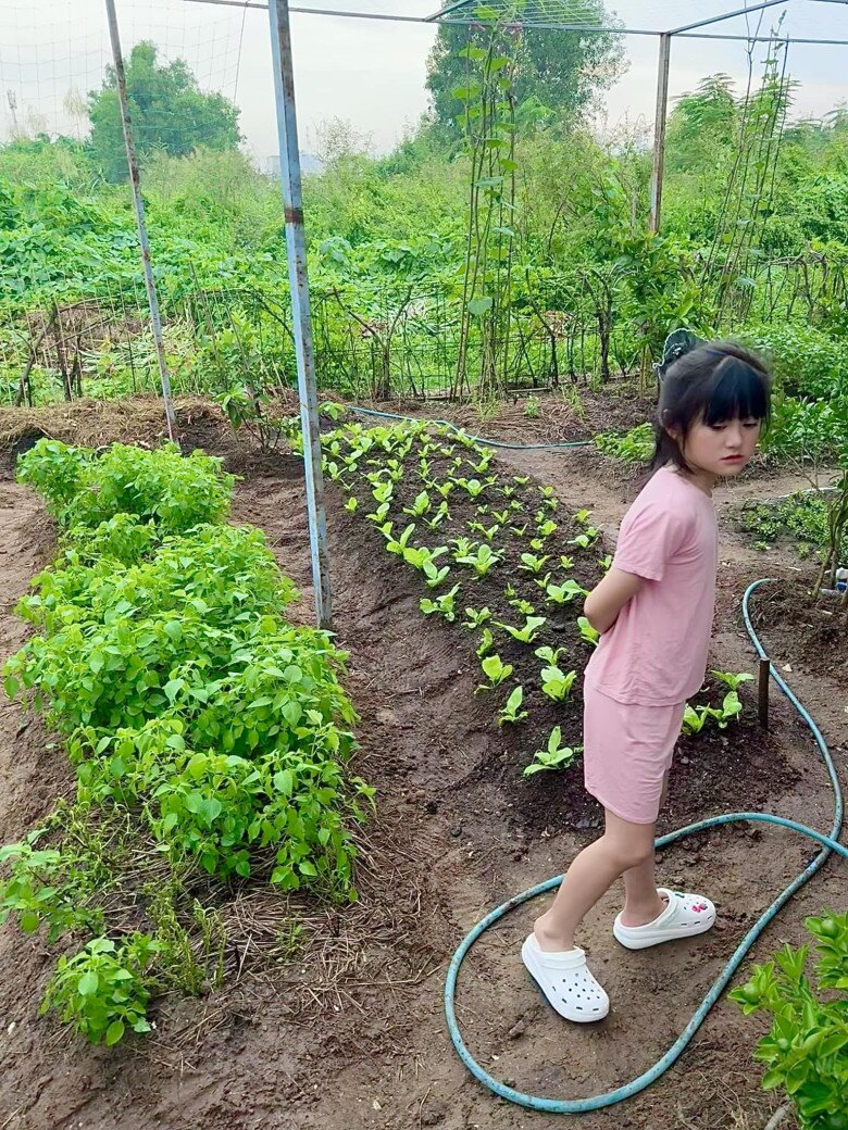 Cô con gái nhỏ của Đoàn Di Băng là Yuki cũng ra vườn xem rau. Có thể thấy, khu vườn khá giản dị, không rào chắn quá kỹ nhưng đủ rộng rãi để phục vụ rau sạch cho cả gia đình.