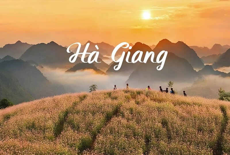 Phường Quang Trung thuộc TP Hà Giang, tỉnh Hà Giang có diện tích 11,40 km2, là 1 trong những phường nắm giữ vị trí trung tâm. Trên địa phận phường Quang Trung có quốc lộ 4C và sông Miện chảy qua, tạo điều kiện thuận lợi cho phát triển kinh tế và du lịch. 
