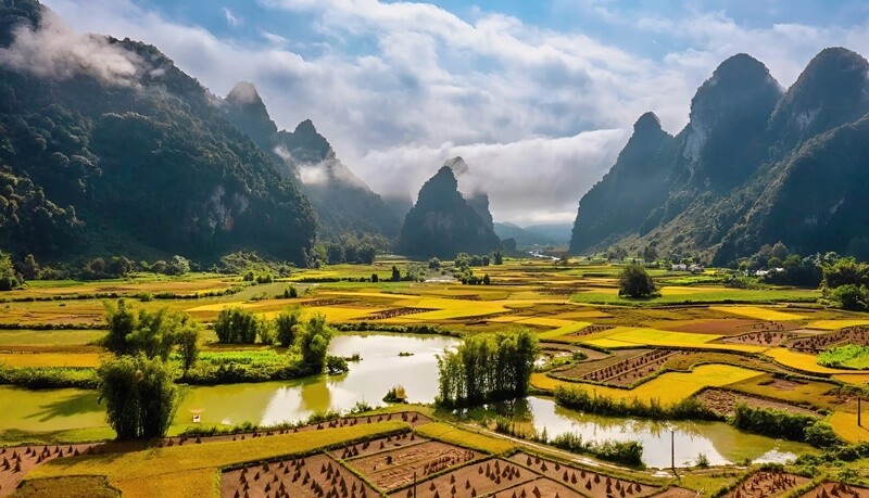 Cao Bằng có 2 địa phương mang tên Quang Trung. Xã Quang Trung ở huyện Hòa An có diện tích 48,46 km2, là một vùng cao phát triển tốt nông lâm nghiệp. Xã Quang Trung ở huyện Trùng Khánh có diện tích 27,79 km2 với thắng cảnh đẹp là nơi tụ họp, giao lưu, mua bán tấp nập. 
