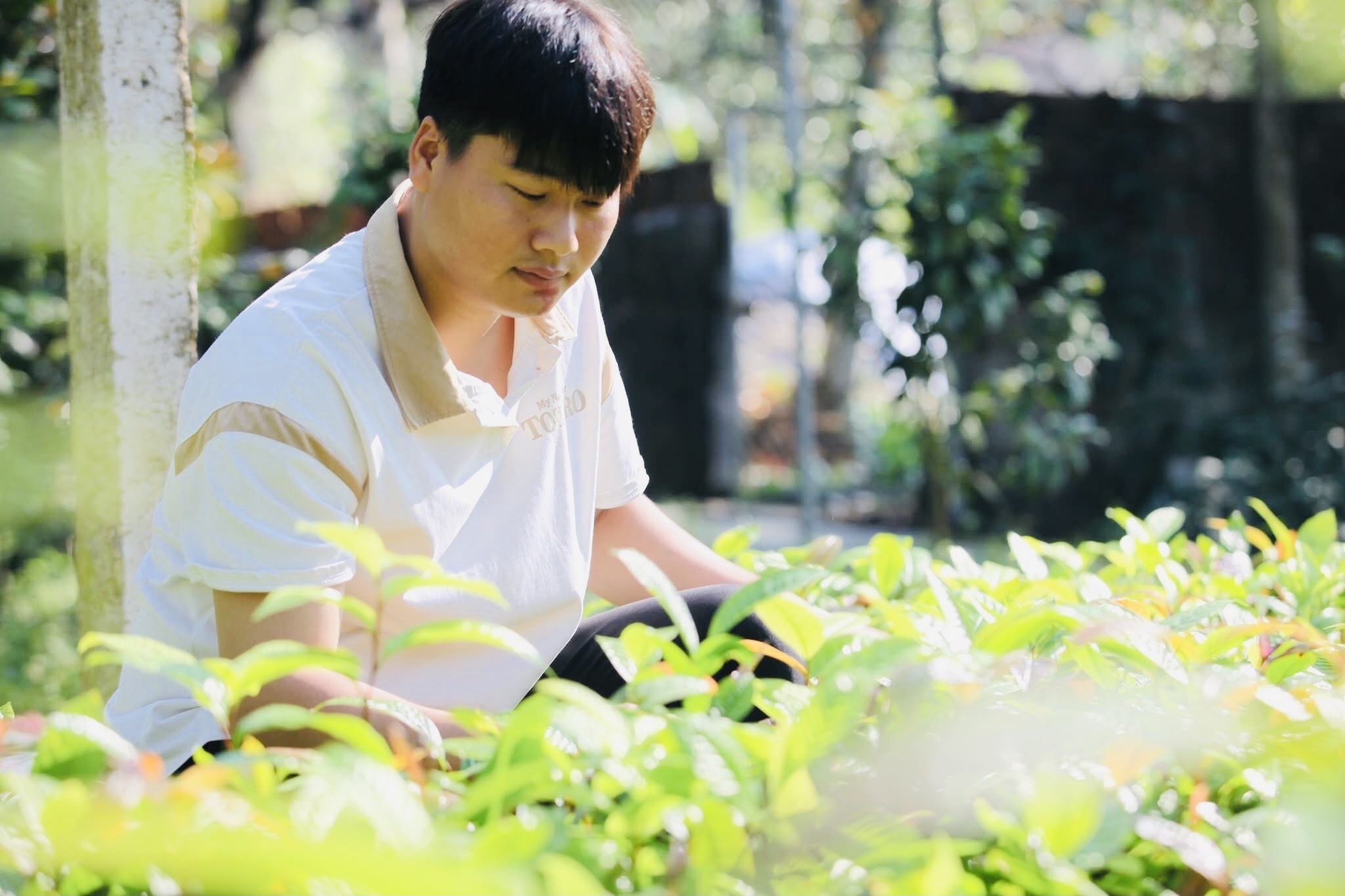 Anh Thanh vươn lên làm giàu thành công với hoa trà vàng