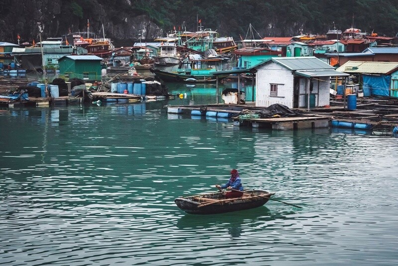 Huyện đảo Cát Hải nằm ở phía Tây Bắc và Đông Bắc giáp tỉnh Quảng Ninh, rất thuận lợi cho phát triển du lịch và kinh tế biển. Huyện có Vườn Quốc gia Cát Bà là nơi lưu giữ nguồn gen quý hiếm trong đó có loài voọc đầu trắng được ghi vào sách Đỏ thế giới.
