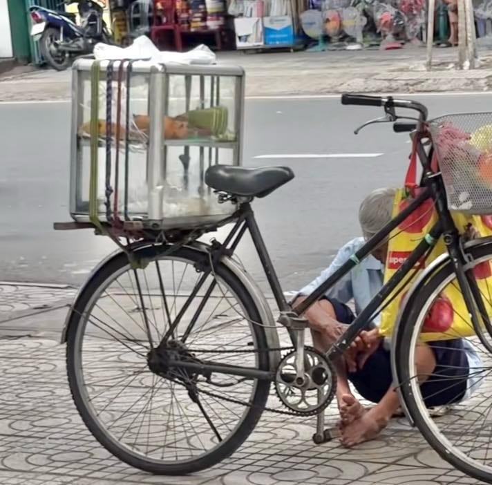 Cụ ông tranh thủ chợp mắt bên đường