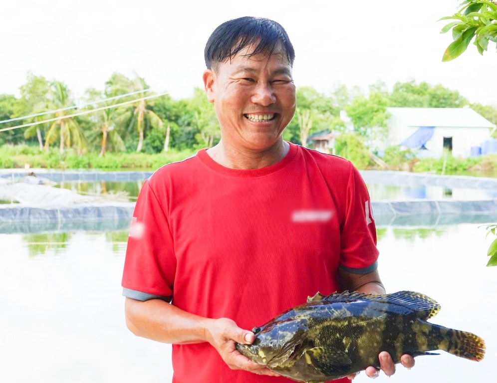 Anh Giang thành công với nghề nuôi cá mú