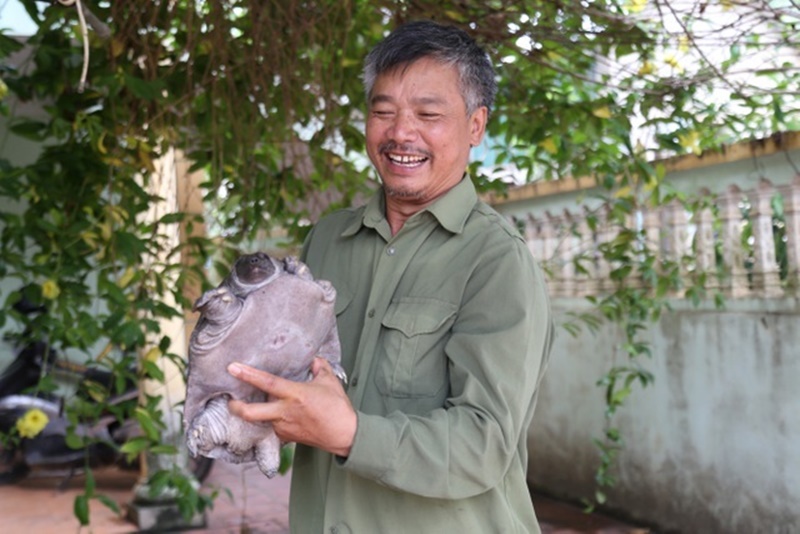 Ông Ngọc thành công với giống ba ba thương phẩm.