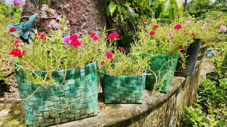 Những sản phẩm rất hữu ích và đẹp mắt