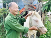 Tin tức - Ông nông dân nhẹ nhàng kiếm 500 triệu đồng/năm nhờ "bẻ lái" nuôi con vật ham ăn lại "hiền như cục đất"