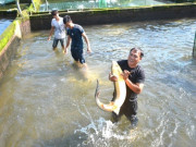 Tin tức - Bỏ phố lên núi nuôi “cá ngoại quốc” theo cách lạ, anh nông dân phát tài với doanh thu 10 tỷ đồng/năm