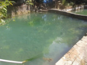 Tin tức - Ao nước kỳ lạ ở Thanh Hóa, mát ấm theo mùa, chỉ một loài cá sống được