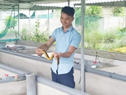 Tin tức - Nuôi loài lưỡng tính thích chui rúc lại đẻ sòn sòn, anh nông dân bỏ túi 2 tỷ đồng/năm rất nhẹ nhàng  