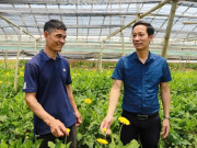 Tin tức - Trồng loài hoa nghe tên đã thấy “mùi tiền”, anh nông dân thu về 1 tỷ đồng/năm rất nhẹ nhàng 