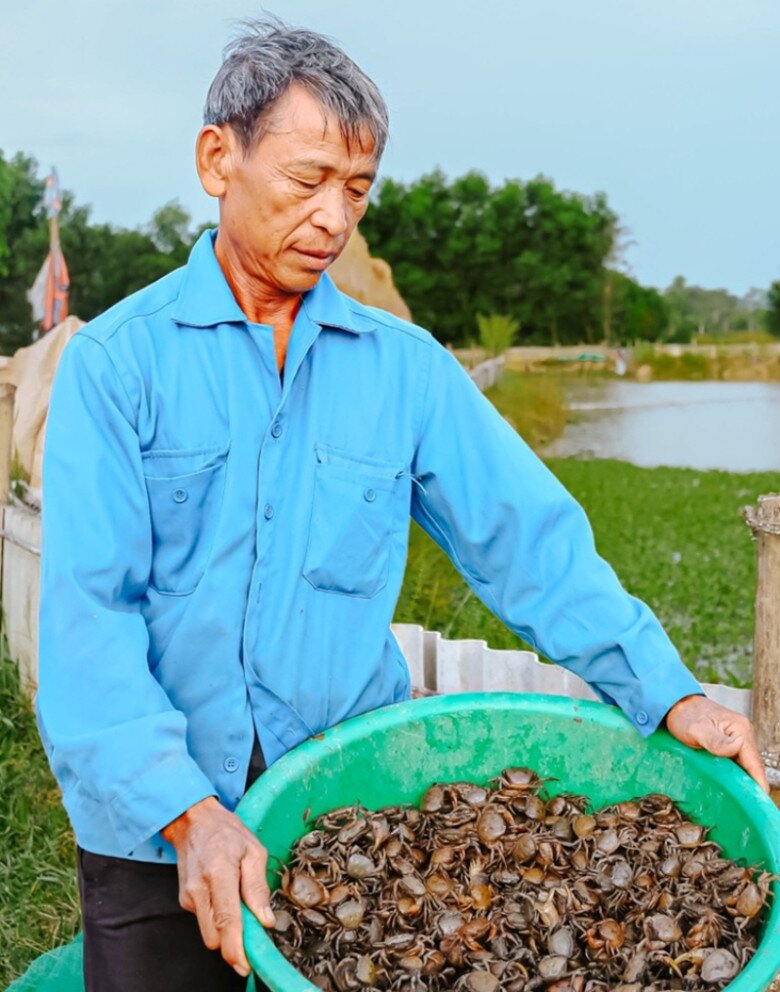 Nuôi loài bò ngang 8 cẳng 2 càng, anh nông dân Phú Thọ làm chơi ăn thật, nhẹ nhàng thu lãi 200 triệu đồng/năm - 2