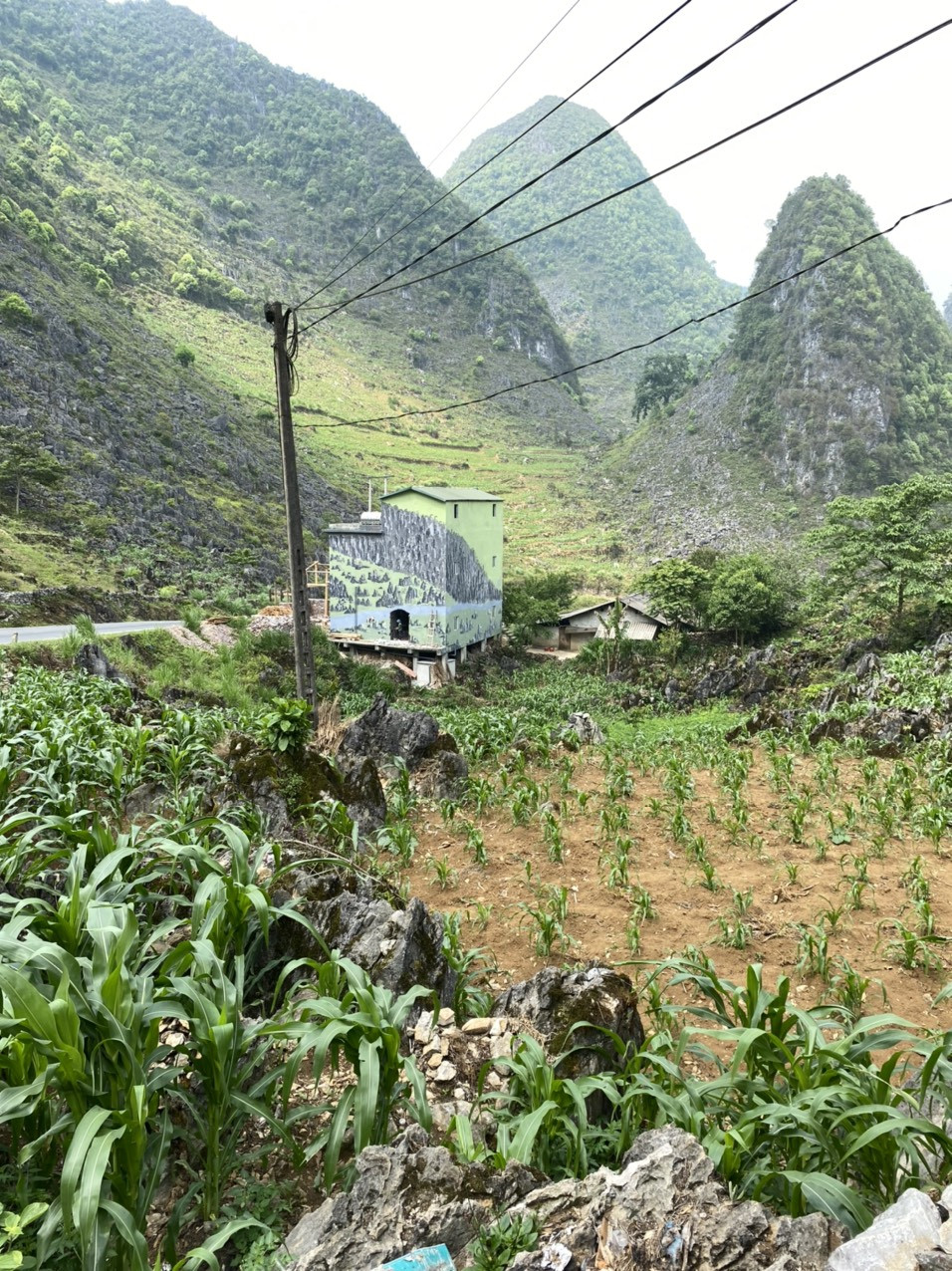 Đây hoàn toàn là thật, không phải sản phẩm của photoshop