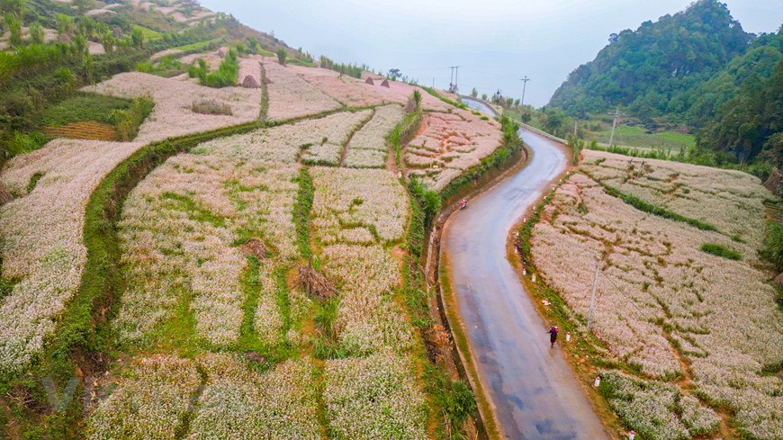 Bức tranh phong cảnh tuyệt đẹp.