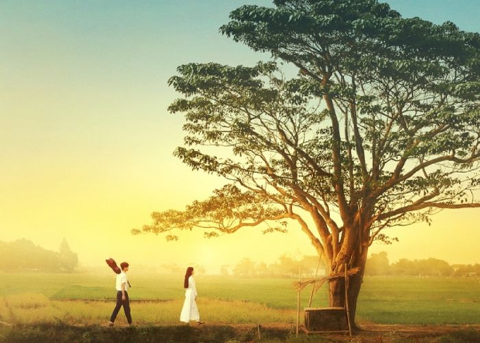 Cây cô đơn trong phim “Mắt Biếc” là hình ảnh mang đậm cảm xúc, gắn liền với ký ức và tình yêu sâu lắng trong câu chuyện.