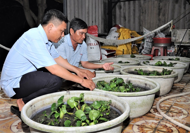 Anh Quan truyền kinh nghiệm nuôi ba ba cho bà con.