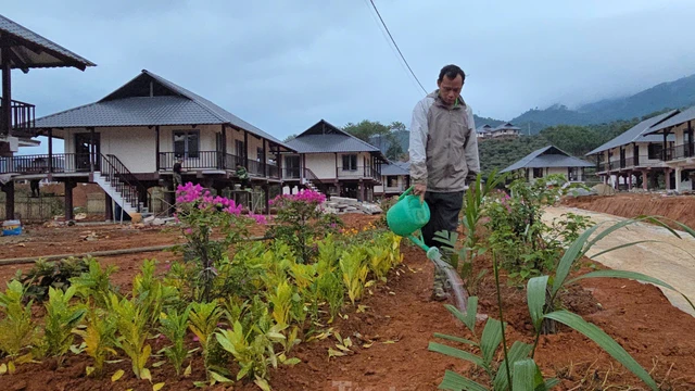 Một cuộc sống mới đã nảy nở từ sau những đau thương