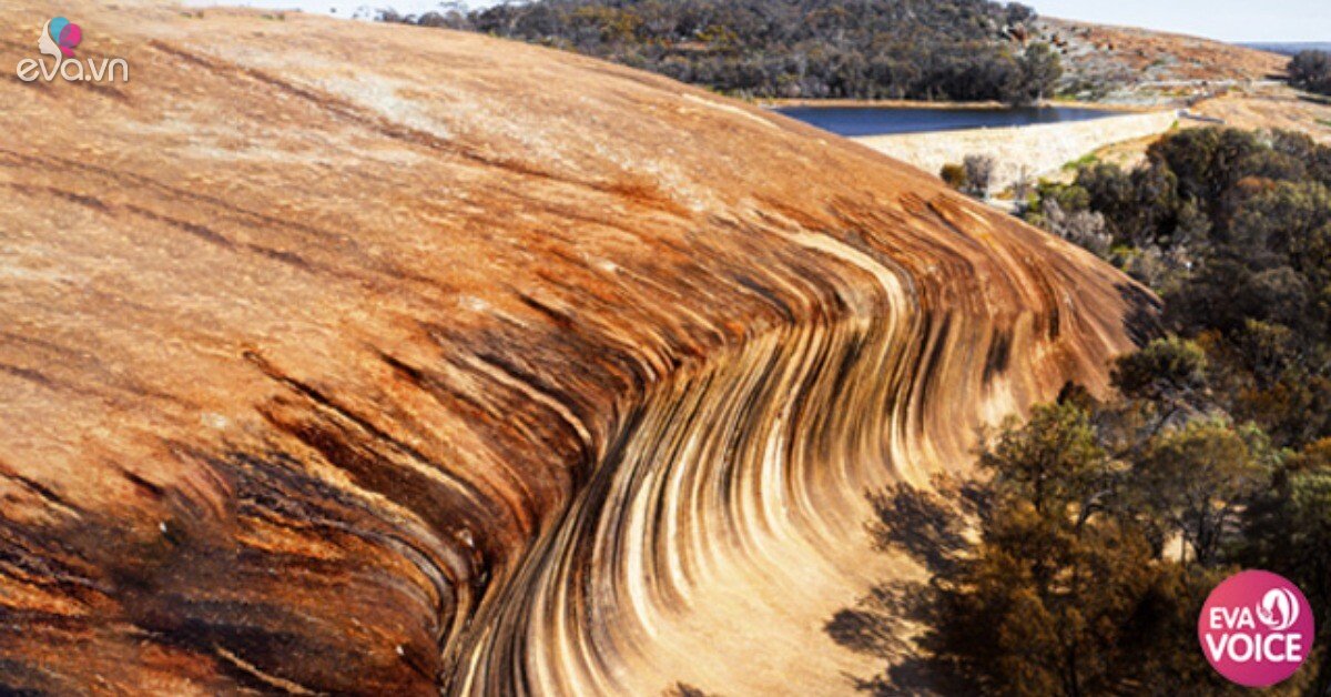 Bí Ẩn Vẻ Đẹp Của Wave Rock: Tác Phẩm Điêu Khắc Của Thiên Nhiên