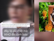 Clip Eva - Lợi dụng mạng xã hội để 'bóc phốt' sai sự thật sẽ bị xử lý thế nào?