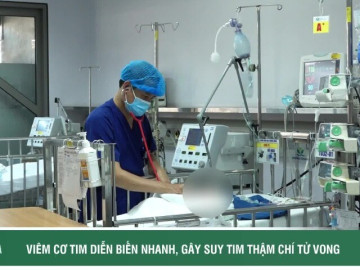 Diễn biến thần tốc của viêm cơ tim ở trẻ có thể gây tử vong