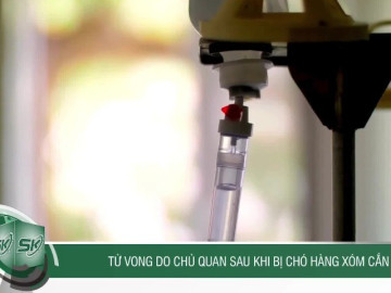 Tử vong do chủ quan sau khi bị chó hàng xóm cắn