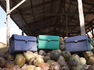 Độc đáo phương pháp tái chế vỏ dừa ở Philippines