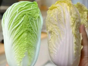 Sức khỏe - Cải thảo nên mua cải xanh hay cải vàng, chất lượng dinh dưỡng có khác nhau không?  
