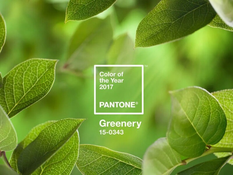 2017: Greenery
Màu xanh lá cây nồng nàn này thực sự gợi lên cảm giác hòa mình hoàn toàn vào thiên nhiên. Về mặt tâm lý, chúng ta cảm thấy thoải mái hơn khi nhìn thấy màu xanh lá cây, đó là lý do tại sao rất nhiều thương hiệu chăm sóc sức khỏe tận dụng màu này.