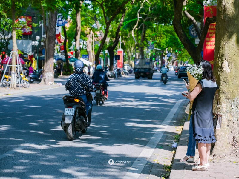 Thời tiết Hà Nội đang vô cùng thích hợp cho các "nàng thơ" dạo bước trên con đường đẹp nhất Thủ đô này và chụp một bộ ảnh thật xinh đẹp. (Ảnh: Vương Lộc)