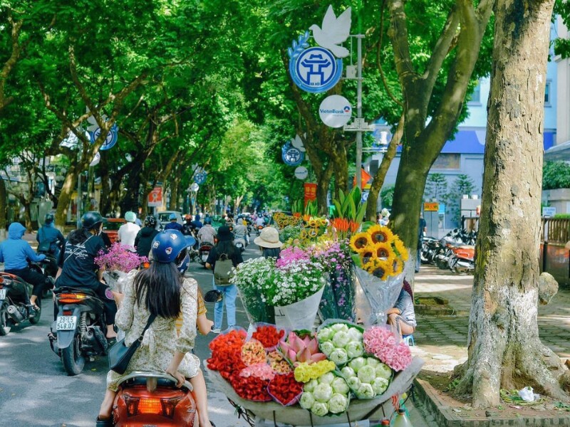 Tranh thủ thời tiết se lạnh, trời cao trong xanh cùng nắng vàng, con đường này thu hút rất đông các bạn trẻ tìm đến chụp ảnh. (Ảnh: Bùi Ngọc Công)