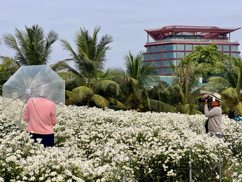 Vườn hoa mở cửa từ 5h đến 23h mỗi ngày, vé vào cửa là 70.000 đồng cho một người, vé 100.000 đồng sẽ bao gồm cả đồ uống.