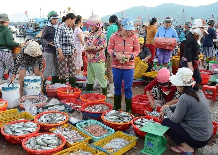 Ghé khu chợ bán hải sản tươi ngon nhất quảng ninh toàn cá mực vừa đánh bắt từ biển về giá siêu rẻ - 2