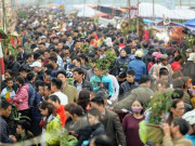 Về Nam Định đi chợ mua may bán rủi, chỉ họp duy nhất 1 lần trong năm, dân tình đua nhau tìm đến mua lộc