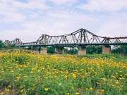 Lifestyle - Địa điểm "hot" nhất Hà Nội lúc này: Trước đó chỉ là bãi rác nay thành vườn hoa đẹp ngất ngây