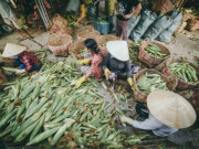 Lifestyle - Khu chợ tồn tại 20 năm giữa lòng Sài Gòn: Chỉ bán duy nhất 1 mặt hàng nhưng lúc nào cũng đông nghịt khách