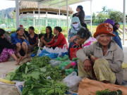 Lifestyle - "Chợ năm ngàn" chỉ có ở Quảng Nam, du khách thích mê vì toàn đặc sản rừng siêu sạch bán với giá 5.000 đồng