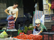 Lifestyle - Khu chợ lâu đời nhất Hà Nam, tồn tại mấy trăm năm nay được xây dựng thành trung tâm mua sắm lớn nhất tỉnh