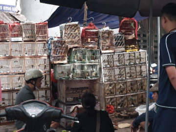 Giữa lòng Thủ đô có phiên chợ chỉ họp vài ngày 1 tháng, đàn ông tụ tập đông đúc chỉ... ngắm chứ không mua