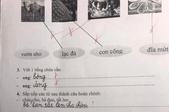 Cô giáo cho rằng cách sắp xếp từ của em học sinh chưa chính xác.