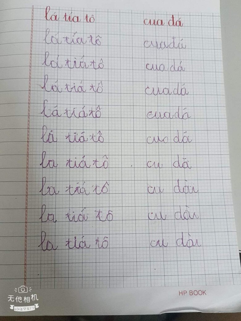 Không còn từ ngữ nào diễn tả nổi.