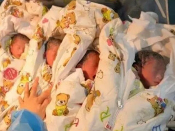 Vợ sinh một lúc 4 con, chồng sợ hãi bỏ đi, mẹ chồng yêu cầu đem bán 3 đứa trẻ và cái kết đầy nước mắt