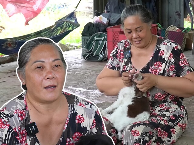 Vợ chồng miền Tây nhịn ăn cưu mang hàng trăm thú cưng, lo cơm ngày 3 bữa, cứ lương về là đi giải cứu động vật